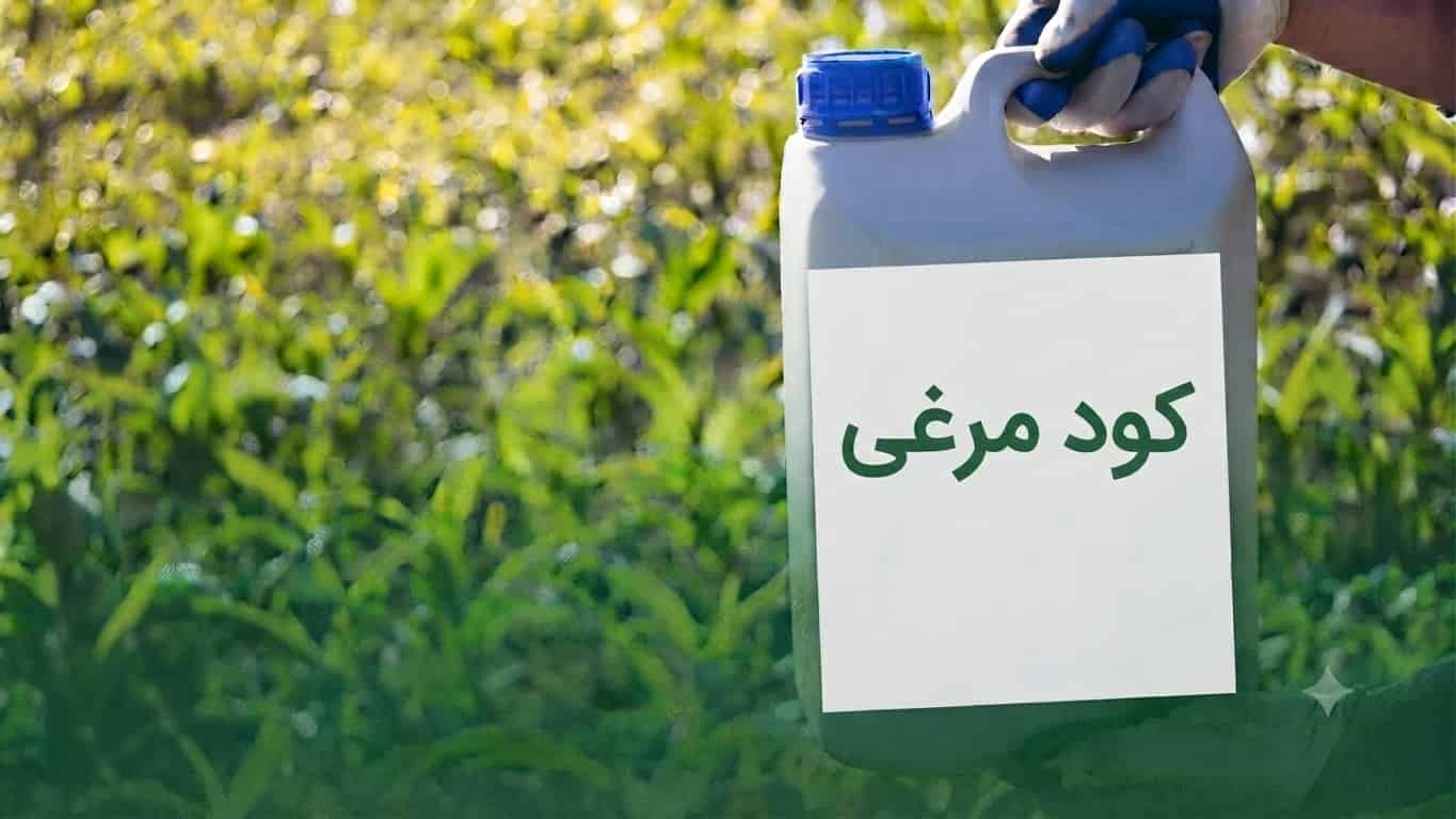 کود مرغی مایع برای گندم مناسب تقویت ریشه و ساقه